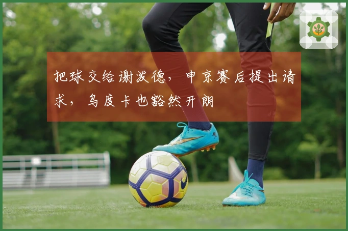 把球交给谢泼德，申京赛后提出请求，乌度卡也豁然开朗