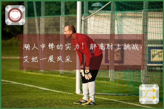 湖人中锋的实力！胖虎肘击挑战，艾妃一展风采
