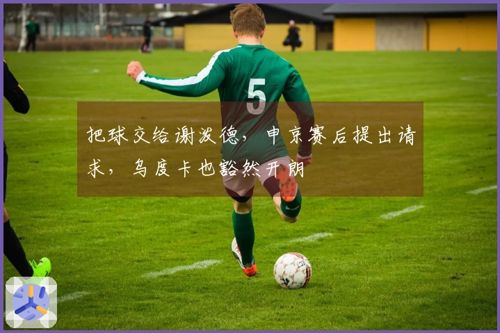 把球交给谢泼德，申京赛后提出请求，乌度卡也豁然开朗